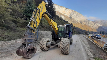 PELLE ARAIGNEE S12-2