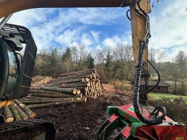 Liebherr Liebherr R 924 Litronic avec la tête d’abattage - Visuel #4